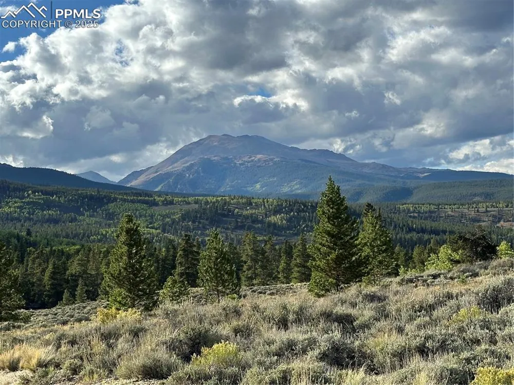 143 Fir Drive Leadville, CO 80461