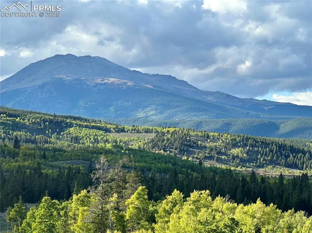 143 Fir Drive Leadville, CO 80461