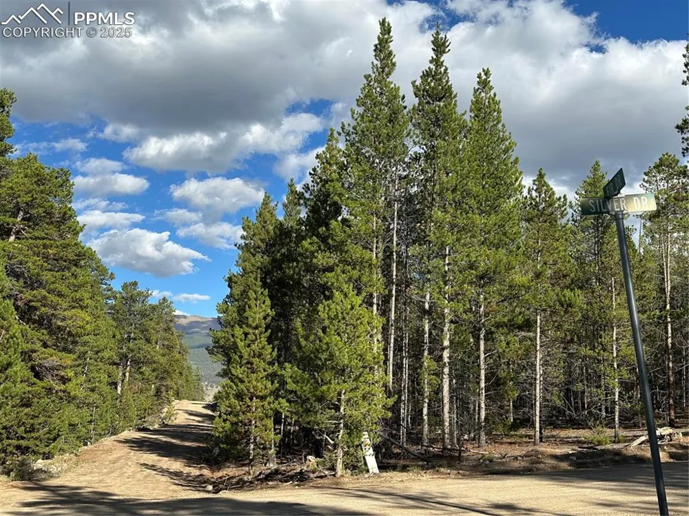 143 Fir Drive Leadville, CO 80461