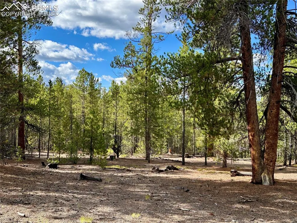 143 Fir Drive Leadville, CO 80461