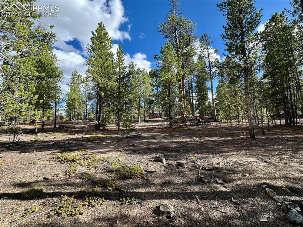 143 Fir Drive Leadville, CO 80461