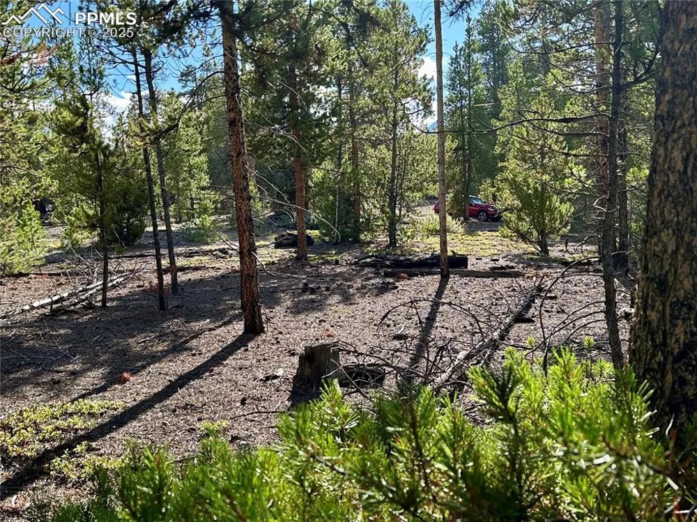 143 Fir Drive Leadville, CO 80461