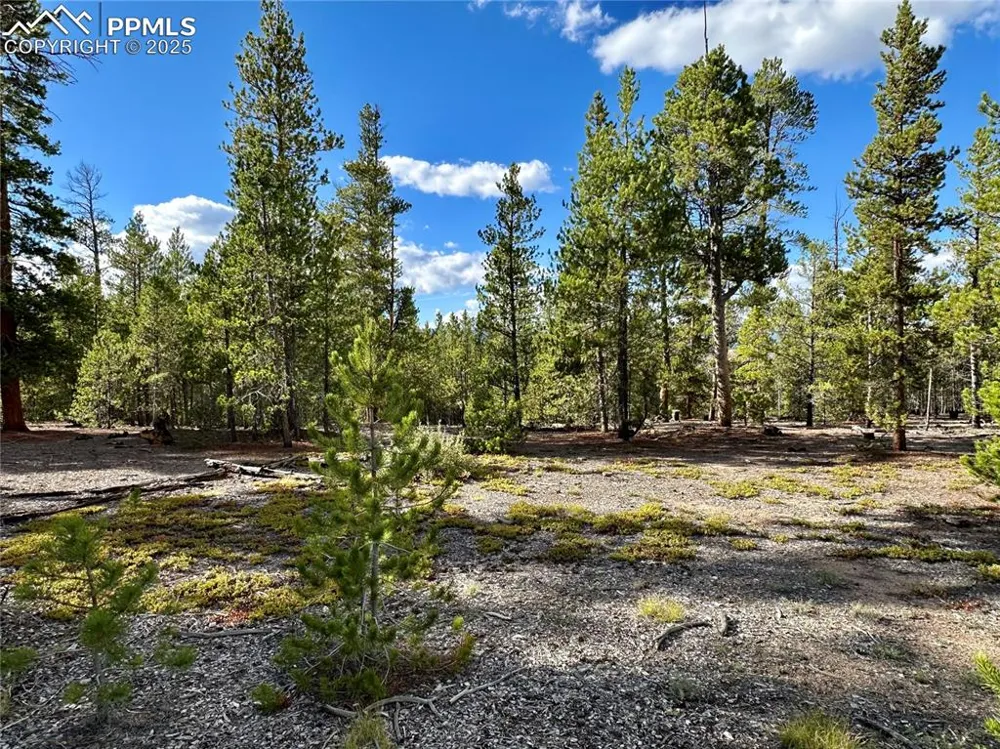 143 Fir Drive Leadville, CO 80461