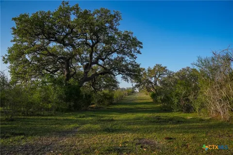 8440 State Highway 239