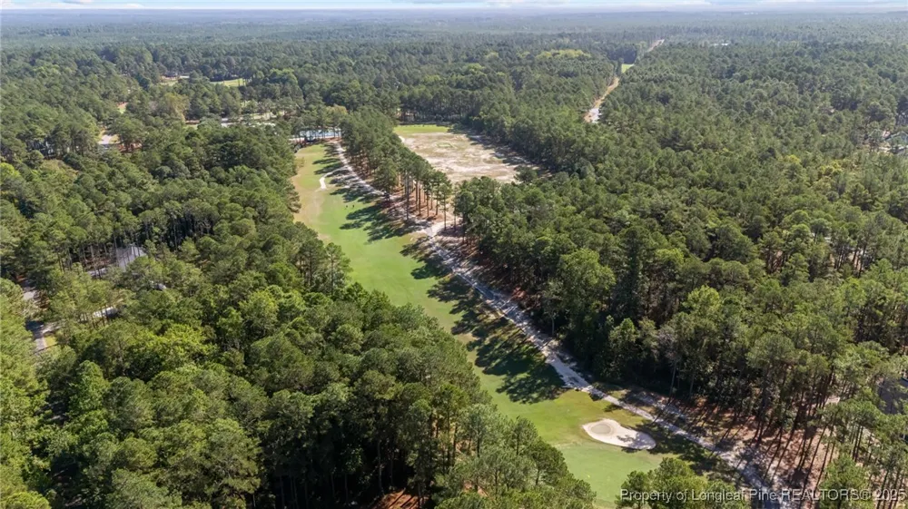 28941 Pinedale Court Wagram, NC 28396