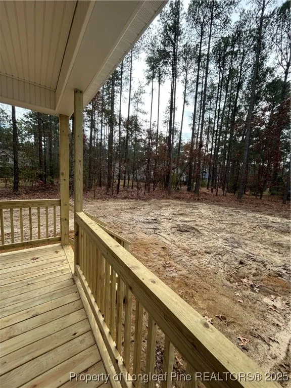 28941 Pinedale Court Wagram, NC 28396