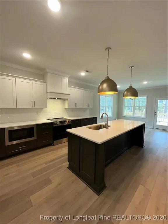 28941 Pinedale Court Wagram, NC 28396