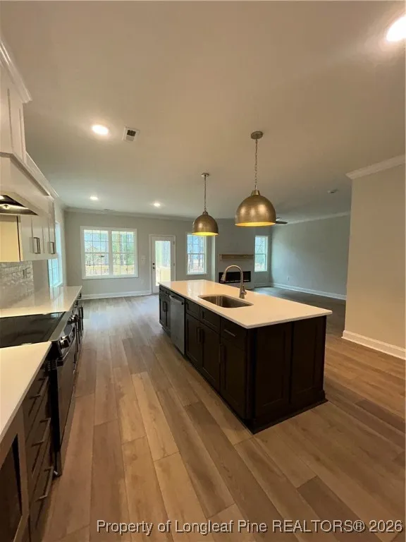 28941 Pinedale Court Wagram, NC 28396