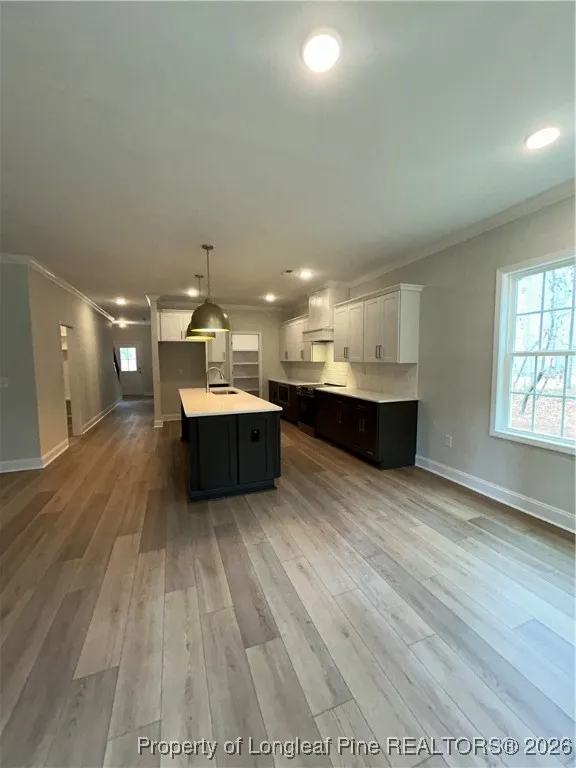 28941 Pinedale Court Wagram, NC 28396