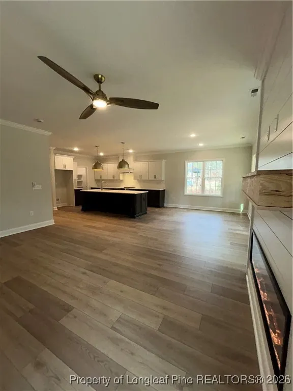 28941 Pinedale Court Wagram, NC 28396