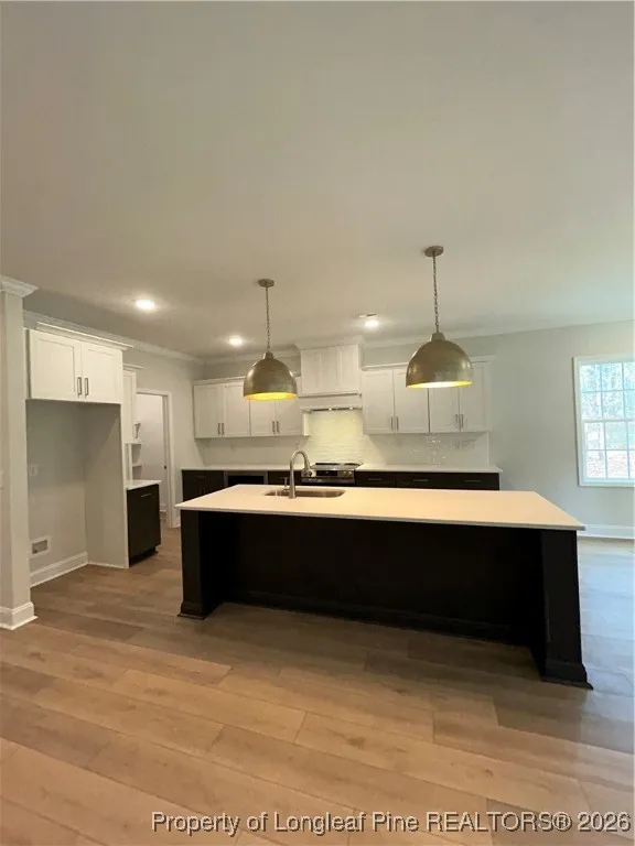 28941 Pinedale Court Wagram, NC 28396