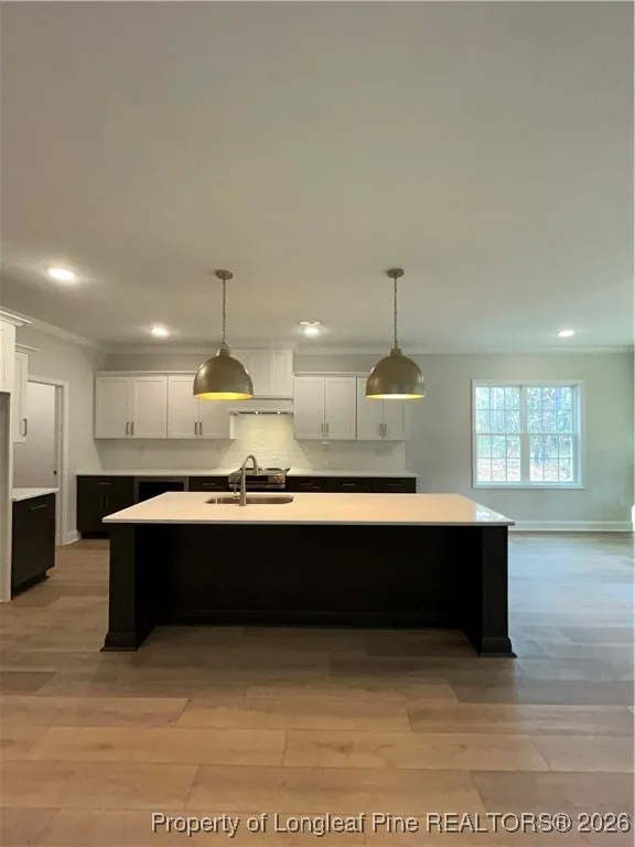 28941 Pinedale Court Wagram, NC 28396