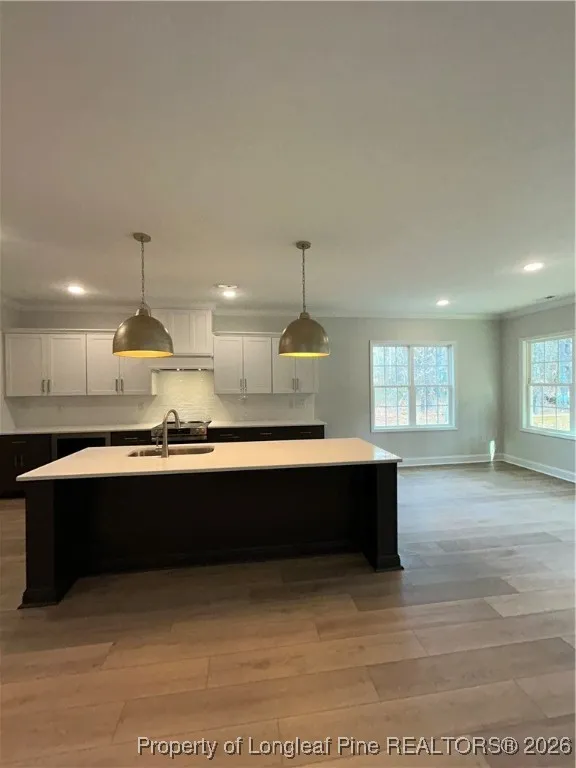 28941 Pinedale Court Wagram, NC 28396