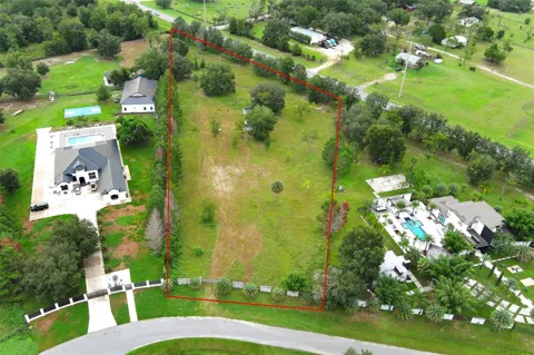 34534 TREE FROG LANE