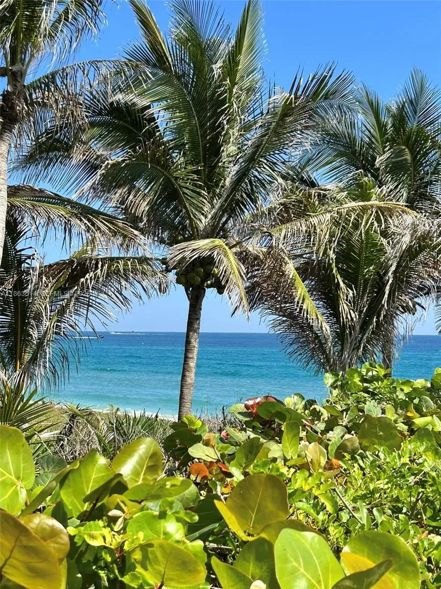 1223 Hillsboro Mile #4 Hillsboro Beach, FL 33062