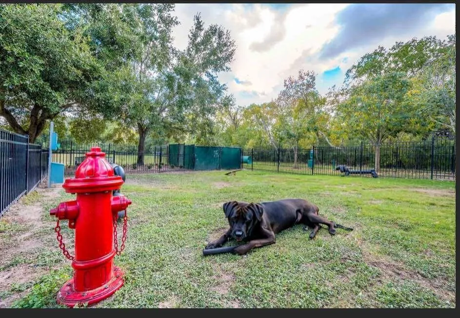 529 Barker Clodine Road #Juniper Houston, TX 77094