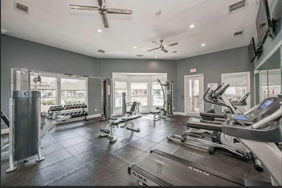 529 Barker Clodine Road #Juniper Houston, TX 77094