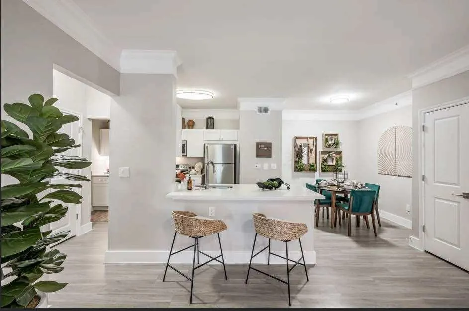 529 Barker Clodine Road #Juniper Houston, TX 77094