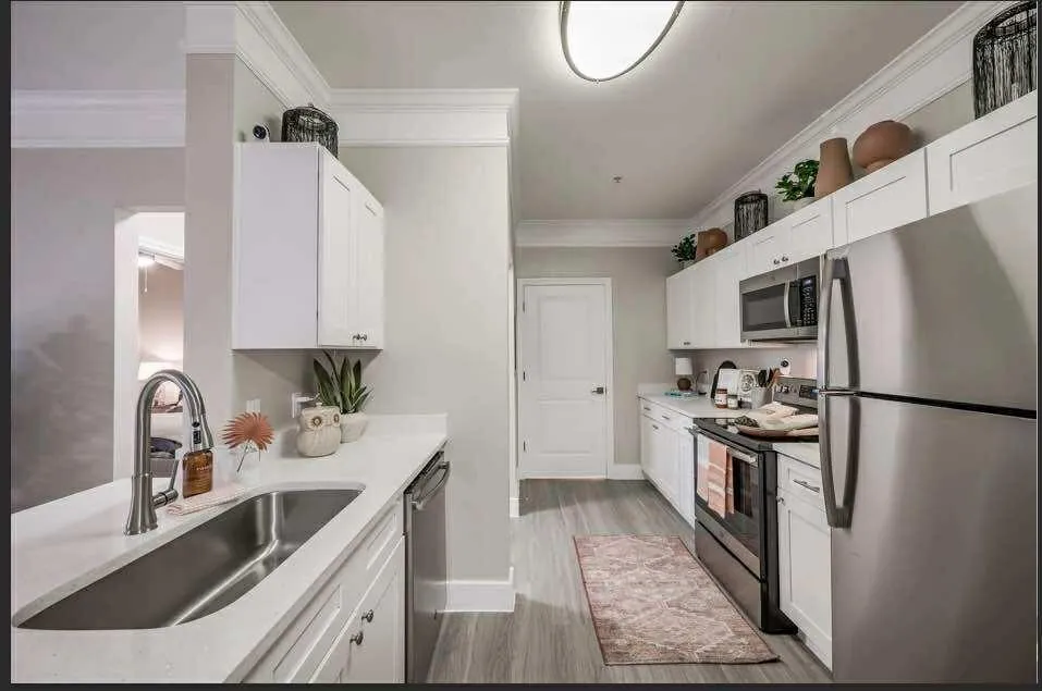 529 Barker Clodine Road #Juniper Houston, TX 77094