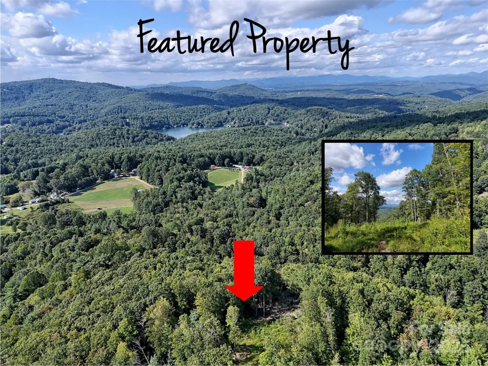 00 Bell Mountain Road Zirconia, NC 28790