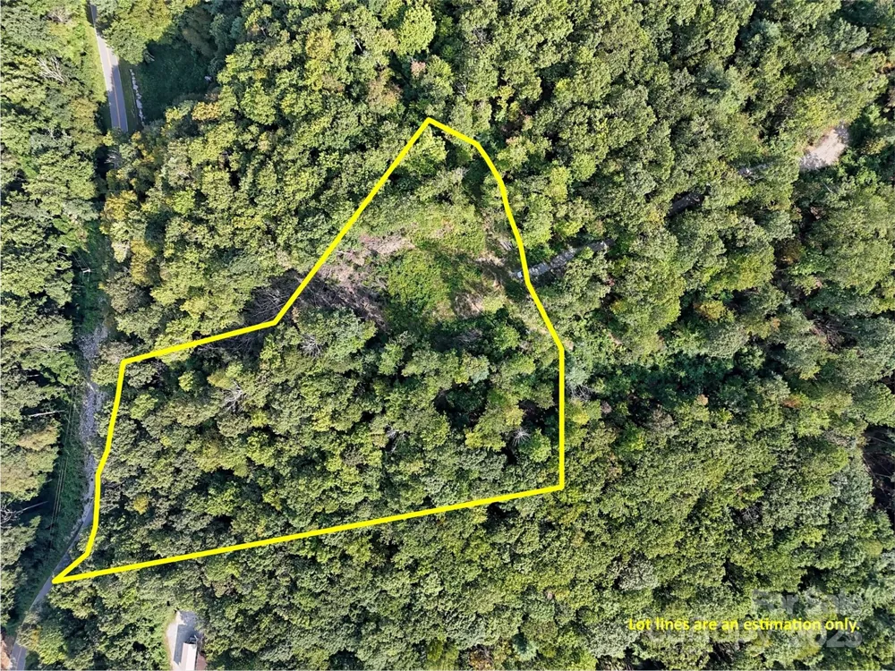00 Bell Mountain Road Zirconia, NC 28790