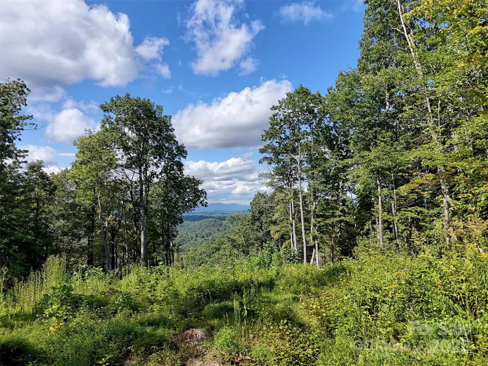 00 Bell Mountain Road Zirconia, NC 28790