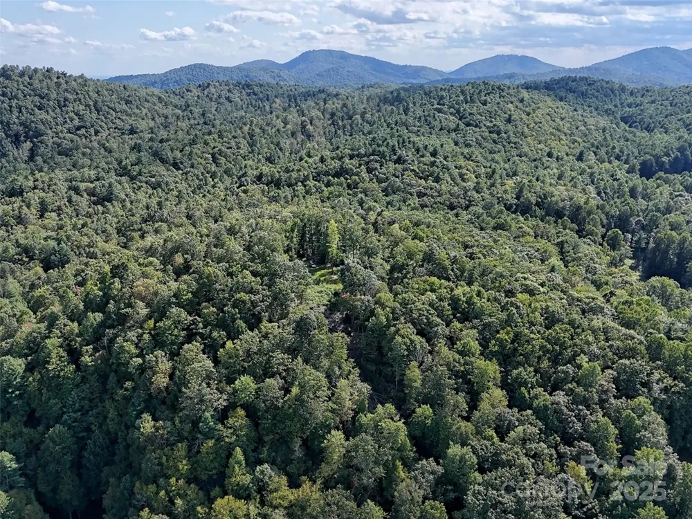 00 Bell Mountain Road Zirconia, NC 28790