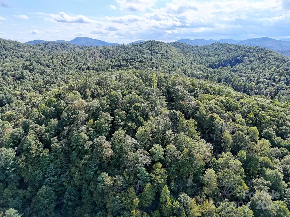 00 Bell Mountain Road Zirconia, NC 28790