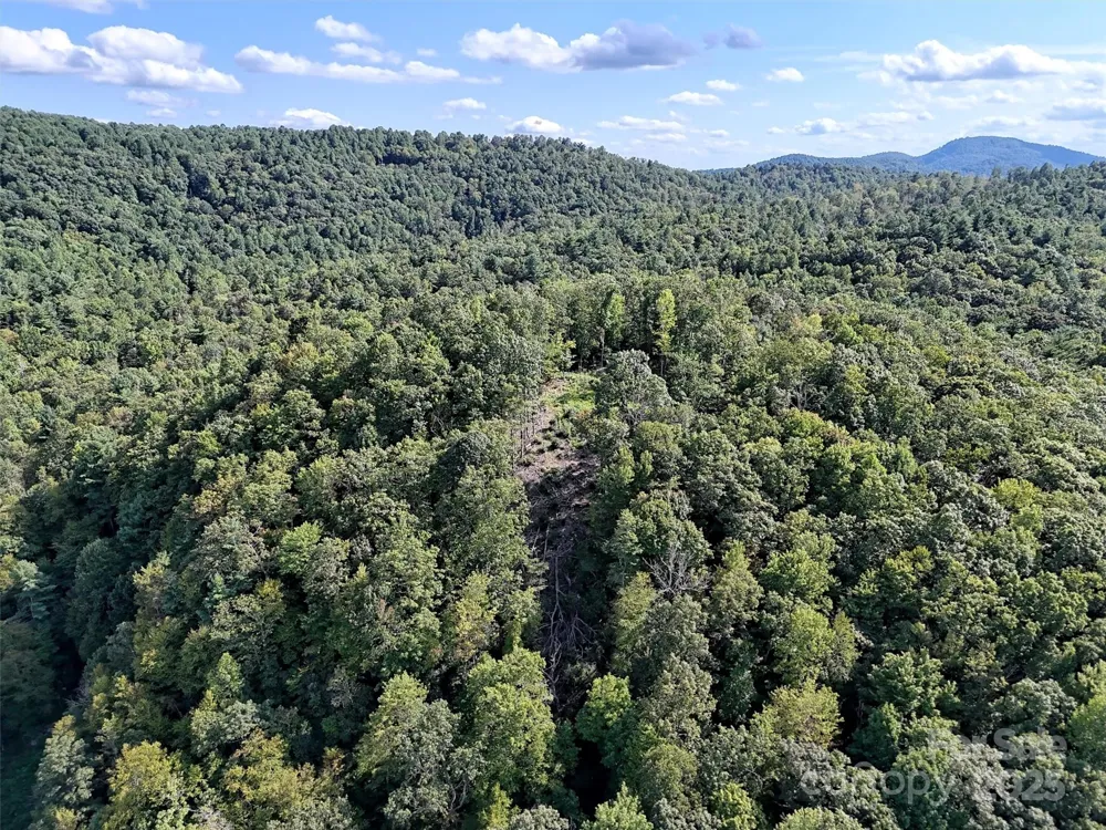 00 Bell Mountain Road Zirconia, NC 28790