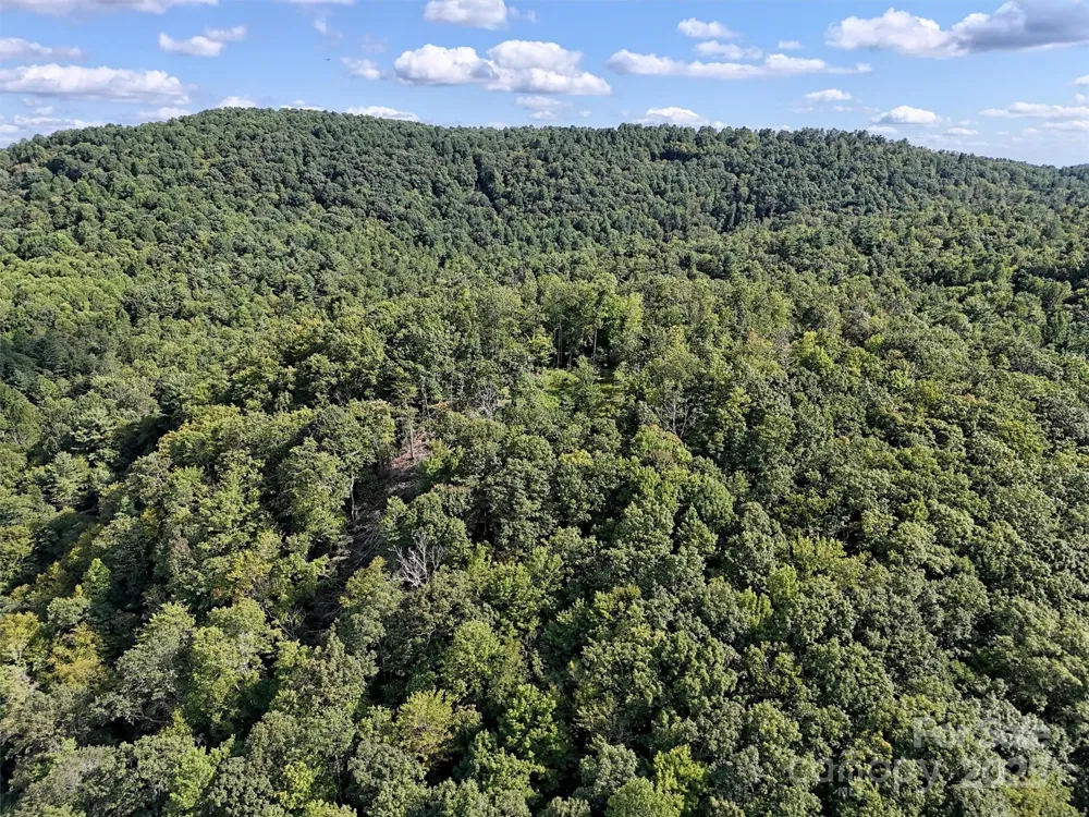 00 Bell Mountain Road Zirconia, NC 28790