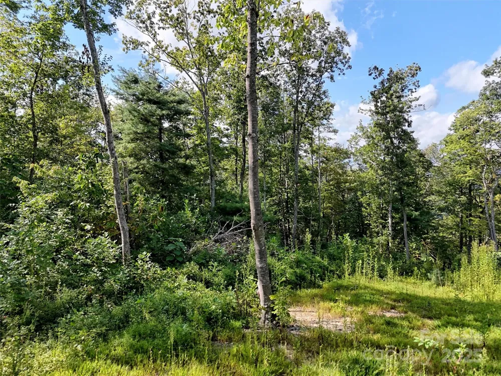 00 Bell Mountain Road Zirconia, NC 28790