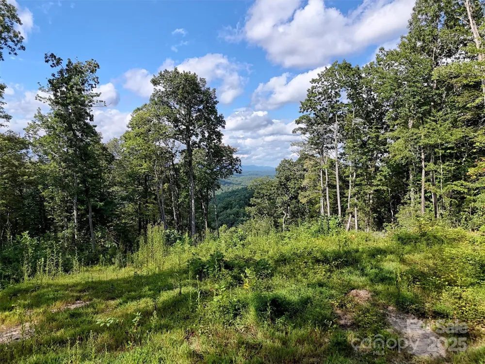 00 Bell Mountain Road Zirconia, NC 28790