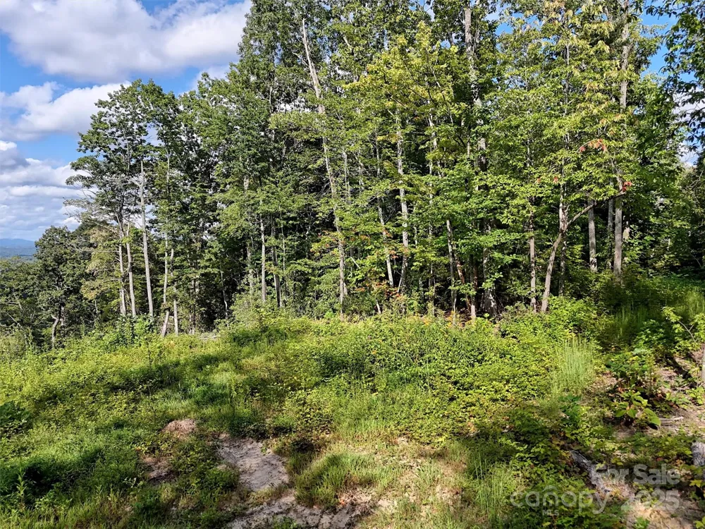 00 Bell Mountain Road Zirconia, NC 28790