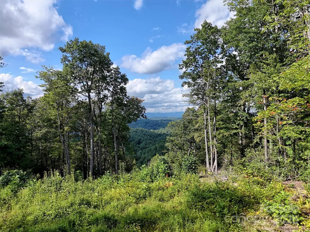 00 Bell Mountain Road Zirconia, NC 28790