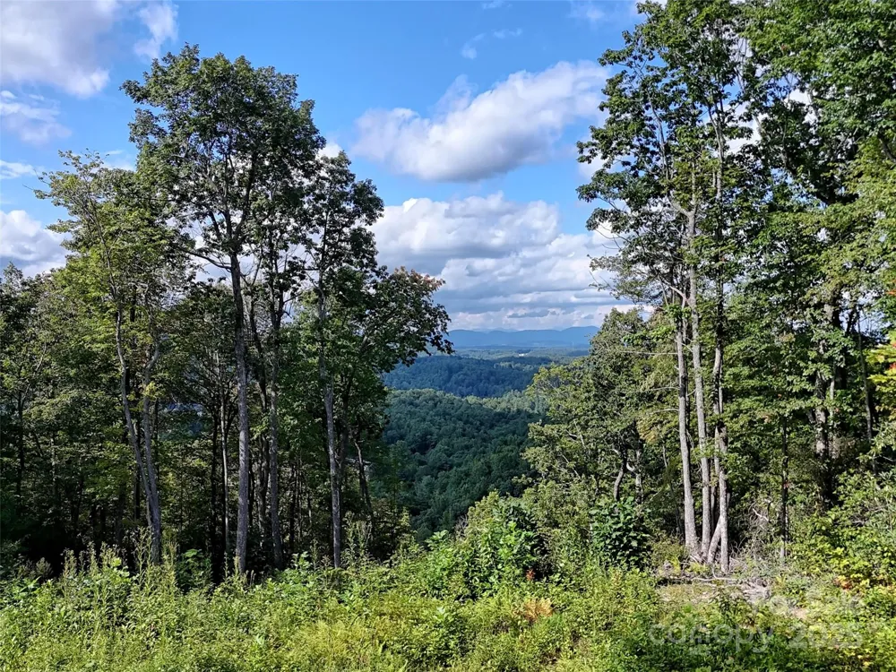 00 Bell Mountain Road Zirconia, NC 28790