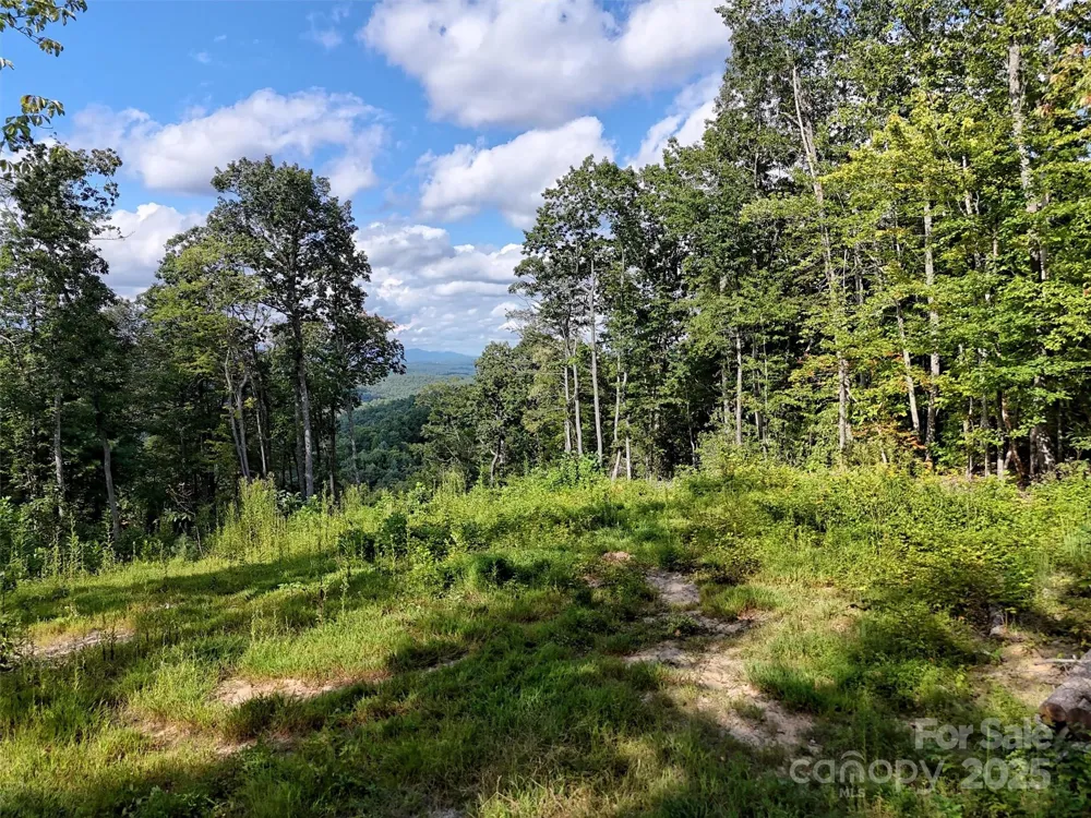 00 Bell Mountain Road Zirconia, NC 28790