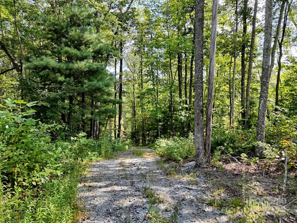 00 Bell Mountain Road Zirconia, NC 28790