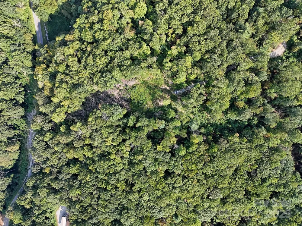 00 Bell Mountain Road Zirconia, NC 28790