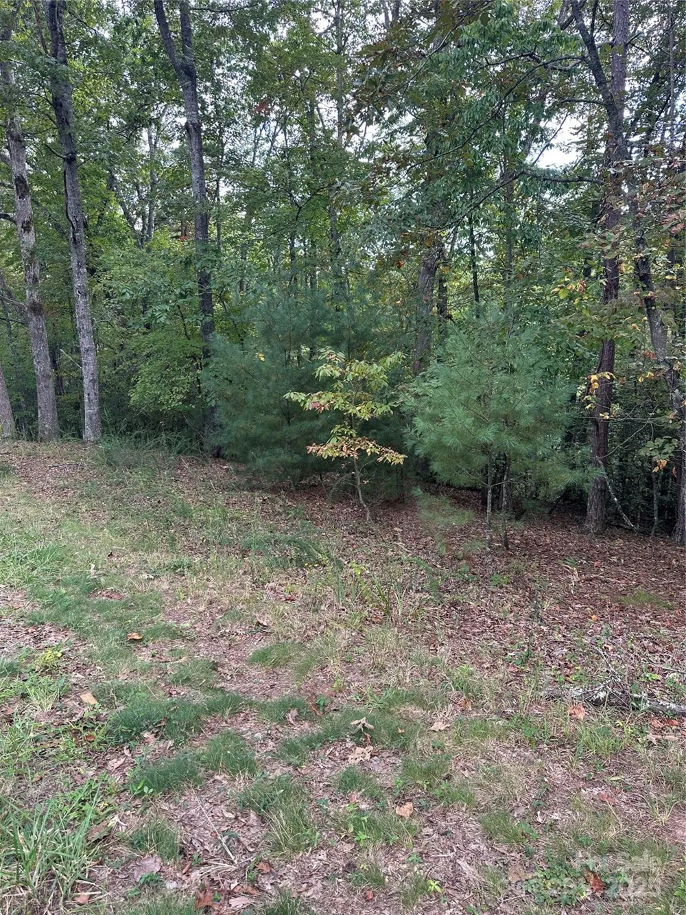 00 Pleasant Hill Road Franklin, NC 28734