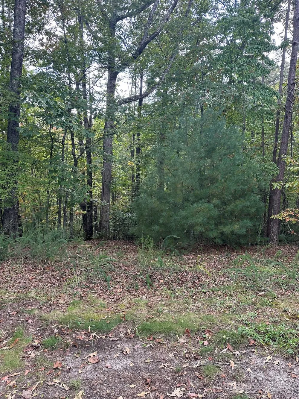 00 Pleasant Hill Road Franklin, NC 28734