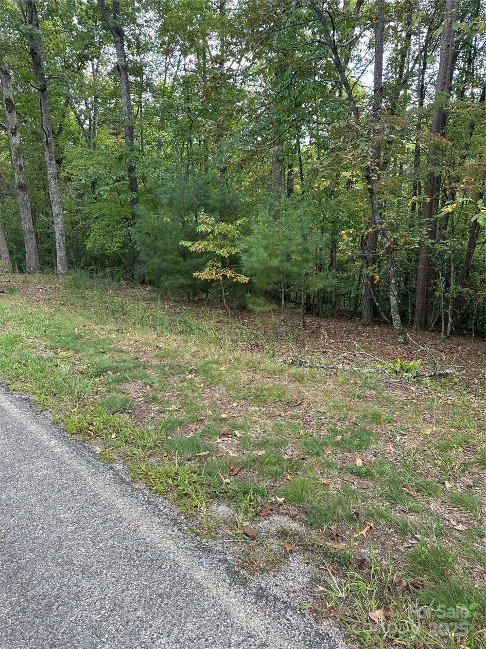00 Pleasant Hill Road Franklin, NC 28734