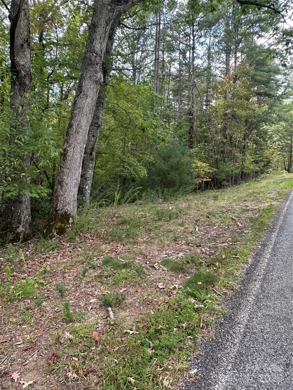 00 Pleasant Hill Road Franklin, NC 28734