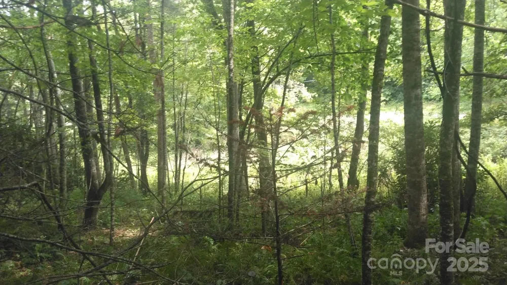 7360 NC 183 Highway Newland, NC 28657