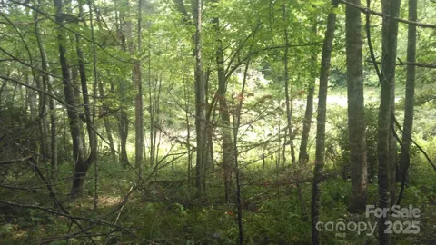 7360 NC 183 Highway