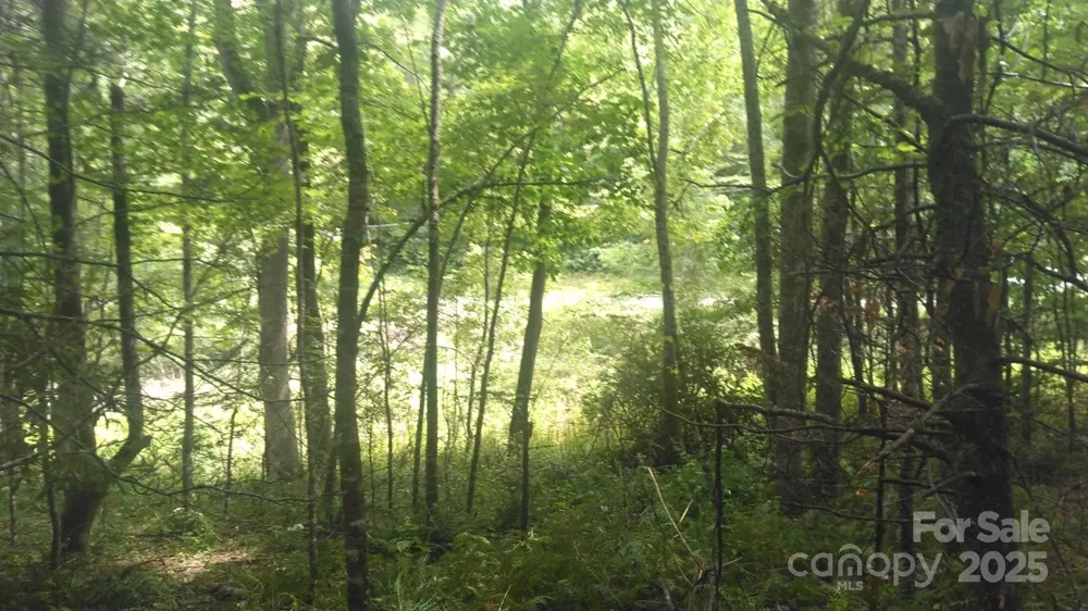 7360 NC 183 Highway Newland, NC 28657
