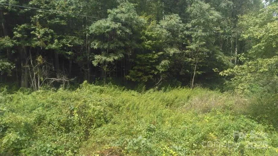 7360 NC 183 Highway Newland, NC 28657