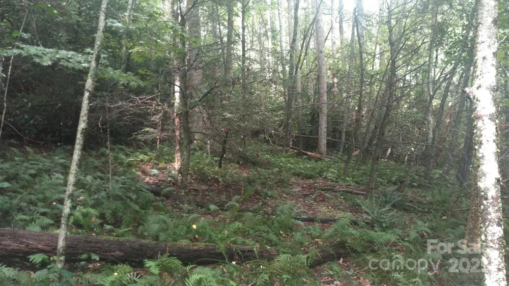 7360 NC 183 Highway Newland, NC 28657