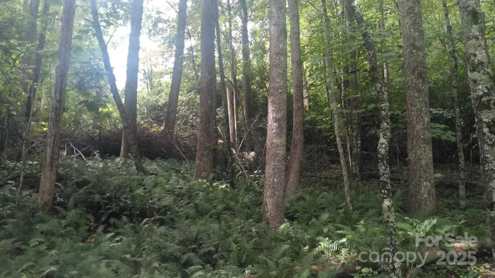 7360 NC 183 Highway Newland, NC 28657