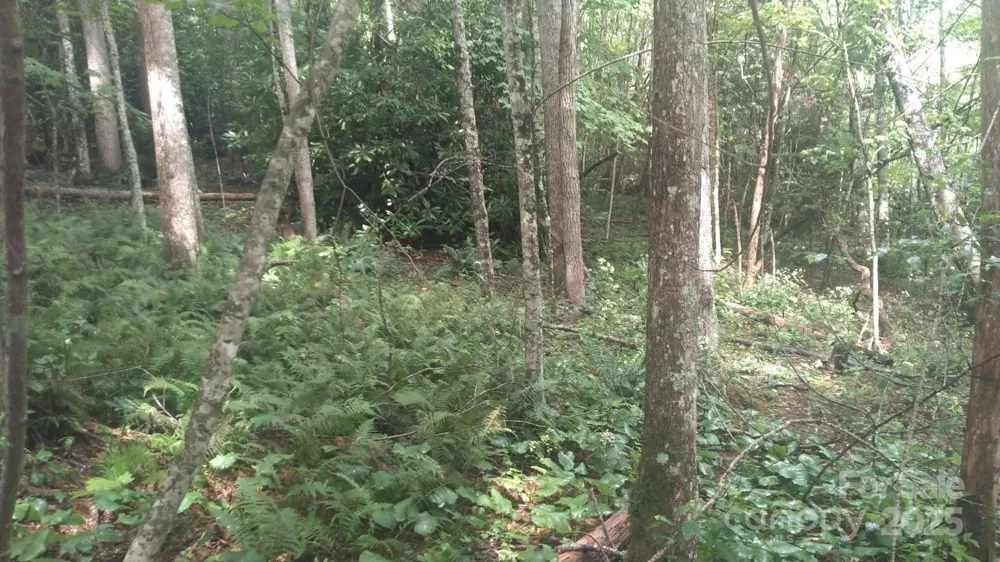 7360 NC 183 Highway Newland, NC 28657