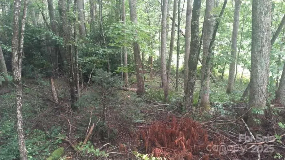 7360 NC 183 Highway Newland, NC 28657